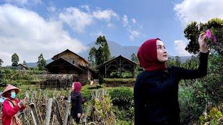 Cantik Dan Ramah., Inilah Pesona Gadis Desa Keturunan Bule Belanda || Kampung Belanda Garut