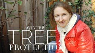 Winter Fruit Tree Protection 101: How to Grow a Garden with Scarlett