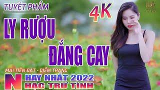 Buồn Làm Chi Em Ơi, Ly Rượu Đắng Cay Nhạc Trữ Tình Hay Nhất 2022- Lk Nhạc Vàng Bolero Nhạc Vàng Xưa