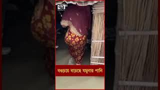 বগুড়ায় বাড়ছে যমুনার পানি