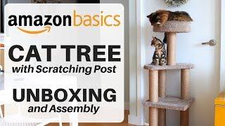 AmazonBasics Cat Tree Unboxing and Assembly