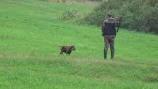 23.07.2019 г. охота на бекаса