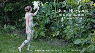 Art video: Giant Hogweed by Amit Bar.  EDSA content.