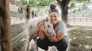 Weaning a miniature horse - Squirt, you made this insanely easy