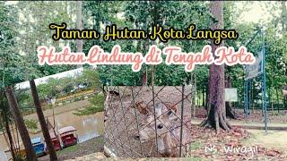 Taman Hutan Kota Langsa | Hutan Lindung di Tengah Kota