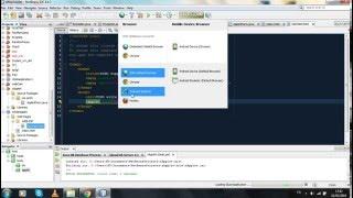 Applet in java Netbeans IDE with Browser Solution