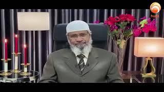 why muslim do tawaf around kaaba #Dr Zakir Naik #HUDATV #islamqa #new