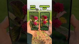 Vivo V40e vs Samsung A35 Camera Test #vivo #vivov40e #samsung #samsunga35 #shotrs