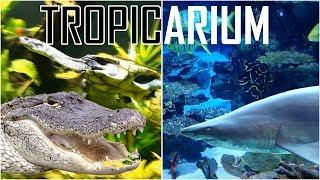 Budapest Tropicarium / Oceanarium Tour 2018 - ProjectPet