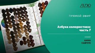 ПРЯМОЙ ЭФИР: Азбука колористики ЧАСТЬ 7