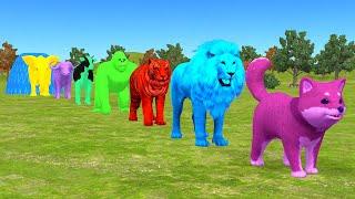 Long Slide Game With Elephant Gorilla Buffalo Hippopotamus Tiger - 3d Animal Game - Funny 3d Animals