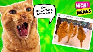 REACCION A MEMES Bonitos DE GATOS! Con Gato Rayito de Sol DivertiCats