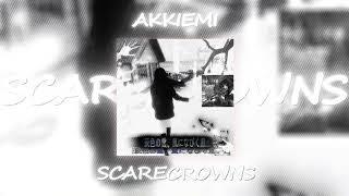 akkiemi - scarecrows