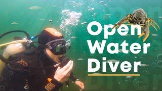 Получили сертификаты PADI. Open Water Diver как это было.