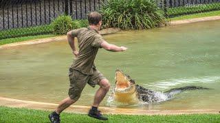 Robert Irwin's 19th Birthday Croc Show ft. Scrappa | Australia Zoo