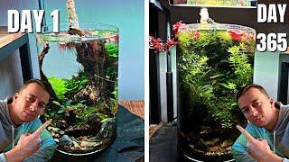 HOW TO NO FILTER VASE AQUARIUM - 5 TIPS FOR GUARANTEED SUCCESS!