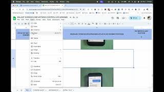 How to Paste Images into a Google Sheet (Even from a PDF)