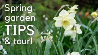 The best thing to do for your garden now...spring garden tips and tour