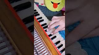 Dil mera muft ka harmonium music part cover by sunny oscar