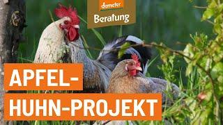 Apfel-Huhn-Projekt aus der Südost-Steiermark