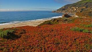 "The California Coast" (w Music) 1 HR HEALING Nature Relaxation Video w Music  1080p