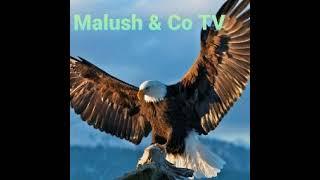 Malush & Co TV