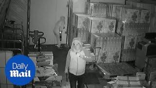 CCTV shows suspects breaking into London warehouse to steal £50k of saffron