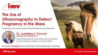 The Use of Ultrasonography to Detect Pregnancy in the Mare