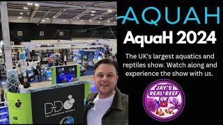 AquaH 2024 Aquatics Show - How good was it?