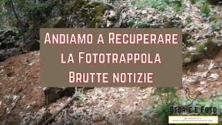 47 ---- Andiamo a recuperare la fototrappola, brutte notizie. Ci salviamo con una bella passeggiata