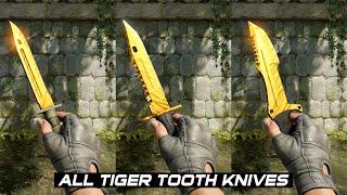 CS2 All Tiger Tooth Knives - In Game showcase [4K60FPS]