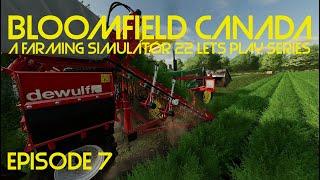 Bloomfield Canada: Episode 7 - Carrot Harvest!