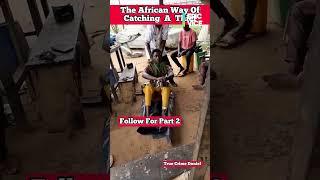 Maling Ketangkap Cuma Pakai Rumput! Cara Orang Afrika Tangkap MaLing