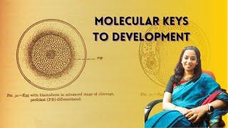 Following the dividing cells in the #Mitosis and #Embryogenesis Lab