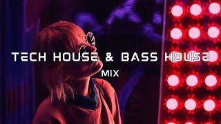 TOP Tech House & Bass House Mix Feb 2024  Best Tech House | Bass House Song Mix 