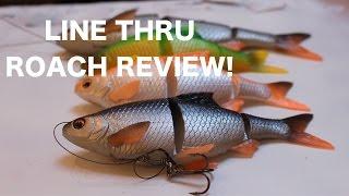 THE LURE CHALLENGE! EP.2 - Savage Gear line thru roach review