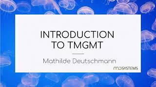 TMGMT module: supporting you to keep track of translations on your multilingual website