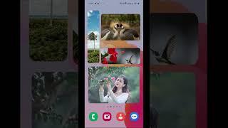 photo widget easy. photo widget app for android.