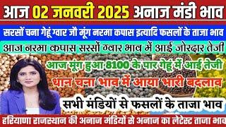 अनाज मंडी भाव| 2/01/2025 ग्वार नरमा कपास सरसों में जोरदार तेजी| मूंग हुआ 8100₹ पार| anaj Mandi bhav,