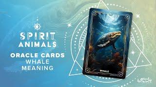 Whale Spirit Animal | Symbolism & Meaning Explained