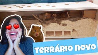 TERRÁRIO NOVO: Montando a mansão do meu hamster!