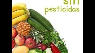 Beneficios de alimentos orgánicos