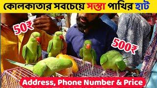 কোলকাতায় সবচেয়ে সস্তা পাখির হাট ||  Cheapest Birds Market in Kolkata || Birds Price in Kolkata