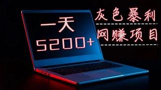 2024最有效网络赚钱方法｜只需一台电脑在家躺着赚钱｜月入6000usdt｜赚钱野路子｜全球可做