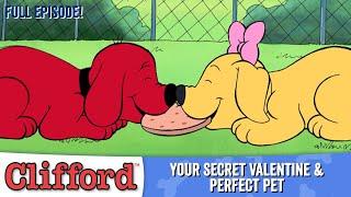 Puppy Days  - Your Secret Valentine | Perfect Pet (HD - Full Episodes)