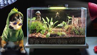 90 DAYS WITHOUT FOOD – SURVIVING OF ISOPODS IN TERRARIUM