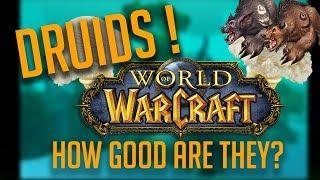 VANILLA FLAVORS  Druid Vanilla WoW Class Guide