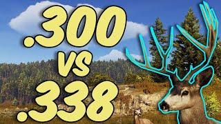 Is The .300 BETTER Than The .338?? - Way of the Hunter