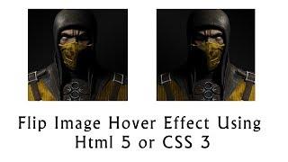 How To Flip Image Hover Effect Using Html or CSS