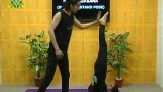 Shoulder Stand Pose - A posture of the complete body